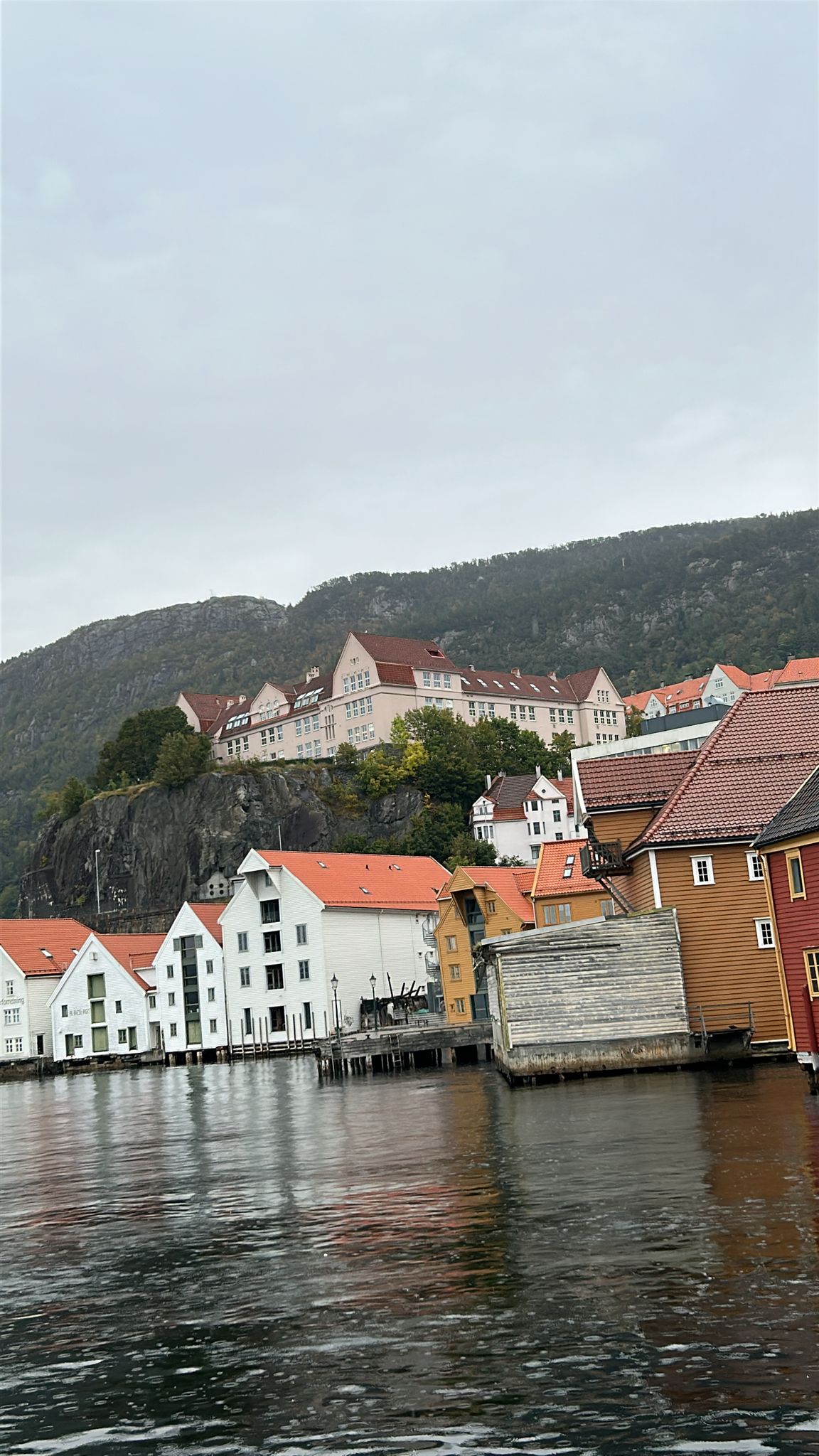 WhatsApp Image 2025-09-28 at 1.22.15 PM